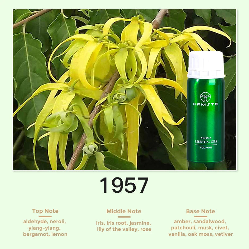 Huile de Parfum pour Diffuseur Aromatique | 100ml & 500ml – 24 Senteurs