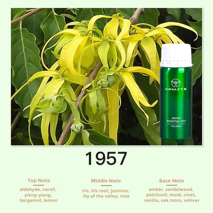 Huile de Parfum pour Diffuseur Aromatique | 100ml & 500ml – 24 Senteurs