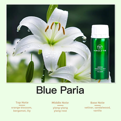 Huile de Parfum pour Diffuseur Aromatique | 100ml & 500ml – 24 Senteurs